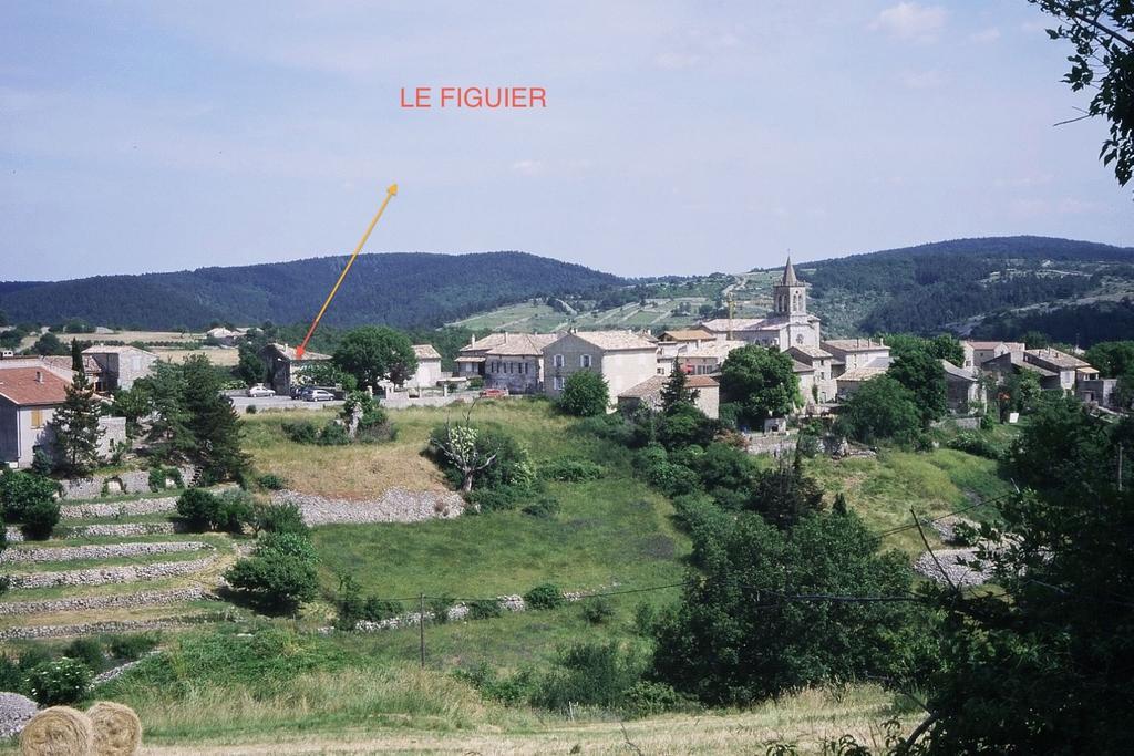 Le Figuier Hébergement de vacances