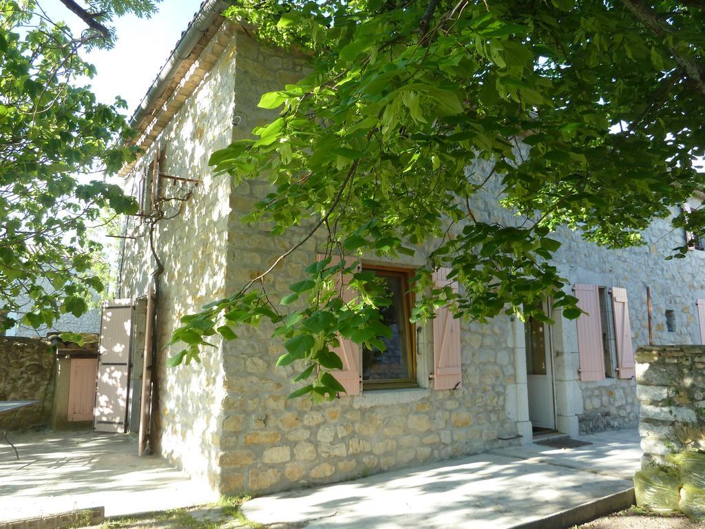Le Figuier